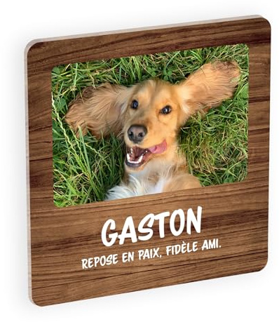 Placa de recuerdo conmemorativa de plexiglás para mascota, homenaje funerario personalizable para gato o perro fallecido con foto y texto, fijación adhesiva de madera