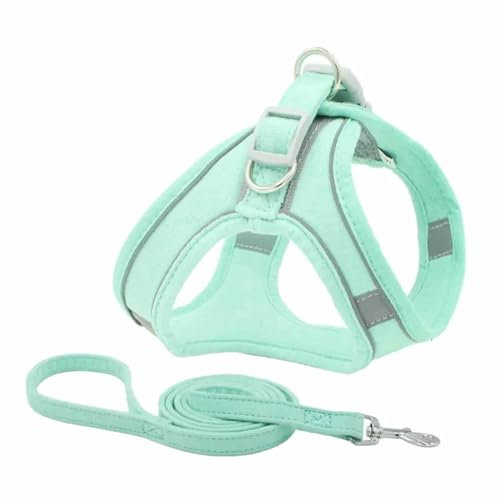 Monkimau Hundegeschirr mit Leine für kleine Hunde - Komfortables Weiches Geschirr, Ideal für Kleine bis Mittelgroße Hunde und Katzen, Türkis XXXS (Türkis, XS)