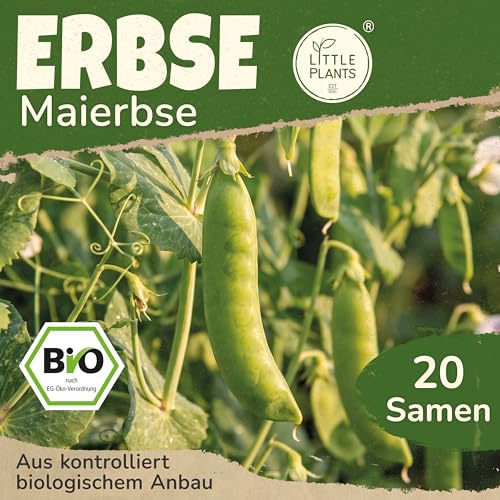 Little Plants BIO Erbsen Samen 20 Erbsensamen Erster Anfang Mai Gemüsesamen Gemüsesaatgut Samenfest für Gemüsegarten, Hochbeet, Küche, Balkon und Garten