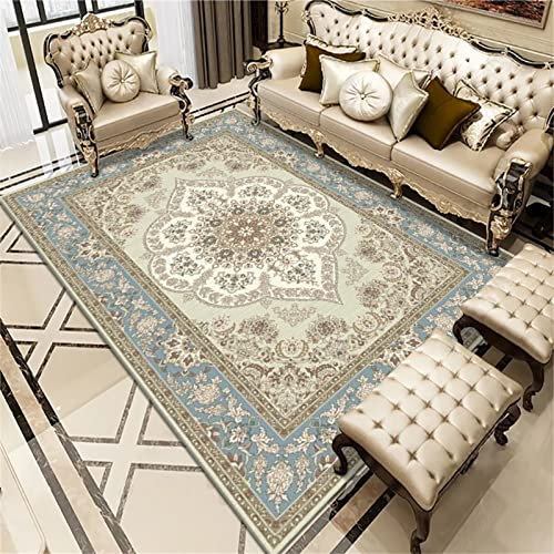 AU-OZNER Teppich Balkon Hellblauer Teppich, Moderne warme Büro-Stuhl Kissen Haus dekorations Teppich Teppich Vintage, hellblau, 80x150cm