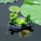 Décoration de bassin - Mini étang - Grenouille - Décoration flottante pour mini étang - En résine - Décoration de bassin pour l'extérieur - Pour jardin, balcon, étang - (I)