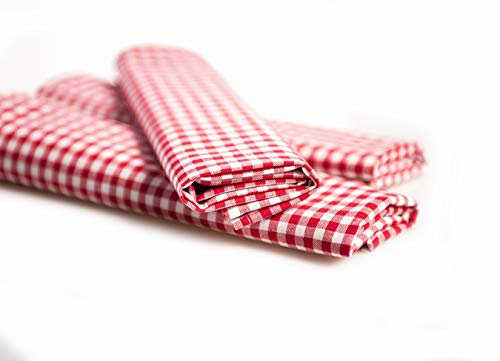 texpot Landhaus Servietten 40 x 40 cm - 12 Stück rot-weiß Kariert 5 mm Karo 100% Baumwolle