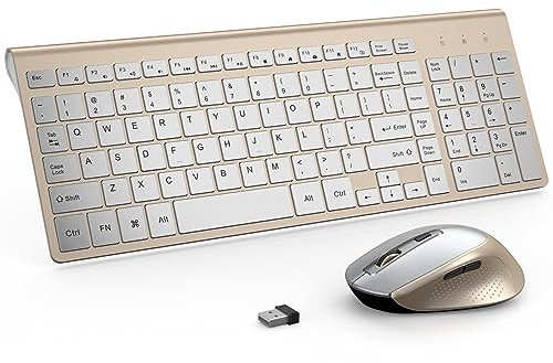 J JOYACCESS Ensemble clavier souris sans fil ergonomique et portable pour ordinateur portable/ordinateur/bureau/PC Argenté/doré