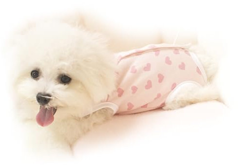 Teacup Dog Clothes, Puppy Cold Prevention Clothes, Stylish and Breathable for Spring and Autumn (Little Red Heart S)