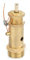 Valvola del Compressore 'aria G1/2 Valvola di Sicurezza 7 Kg 8 Kg 10 Pressione di Soccorso per il Generatore La Caldera (#2)