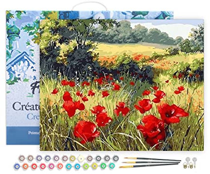 Figured'Art Peinture par Numéro Adulte avec Cadre Coquelicots champêtres - Activité Manuelle Kit de Loisir Créatif DIY Numéro d'Art Complet - 40x50cm toile tendue sur châssis