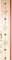 GILDE Girlande Frost Glasornamente Edelstahlkugel 115cm 2 AUSF. wählbar (Nr.1)