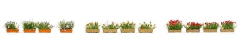 NOCH® Blumenkästen blühend rot, weiß und gelb, 12 handbemalte Pflanzen für die Spurweite H0, perfekt für Detail Dekoration