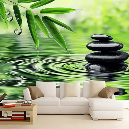 Photo Murale Roches Noires Et Feuilles Vertes 350 x 256 cm - Papier peint Scènes naturelles sereines Non Tissé pour enfants et adultes - Décoration Tenture Murale Appartement Décoration