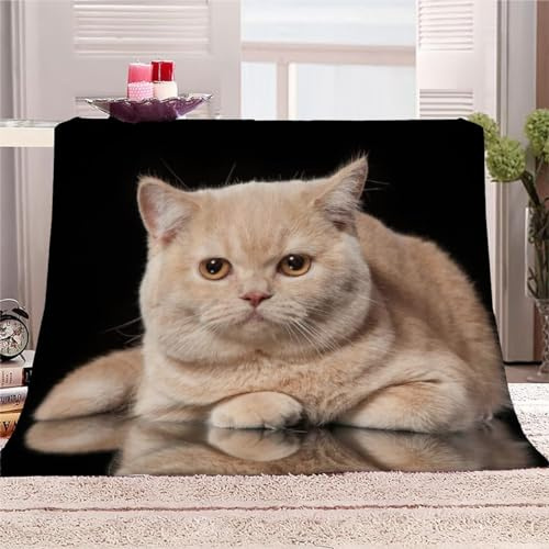 AKATIE 3D Katze Kuscheldecken 100x130 Kinder Flauschig Decke Süßes Kätzchen Schwarz Warm TV Decke Weich Plüsch Leichte Babydecke Microfaser Flanell Decke Sofadecke