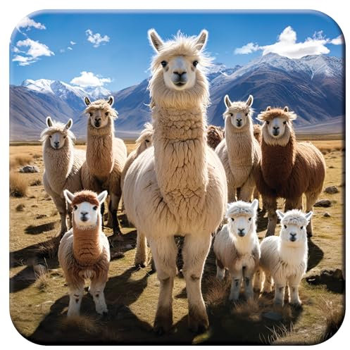 3D LiveLife Dessous de verre en liège Llamarama de Deluxebase. Dessous de verre lenticulaire en liège 3D Tapis antidérapant avec illustration originale sous licence de l'artiste renommé David Penfound