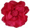 Broche à Fleurs, Grande Broche à Fleurs de Rose de 10 cm Broche à Fleurs en Satin Épingles à Fleurs de Couleur Unie pour Femmes Accessoires de Vêtements de Bal de Mariage (Rose Rouge)