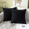 MIULEE 2er Set Kissenbezüge Kordsamt Dekokissen Kissenbezug Sofakissen Dekorativ Couchkissen Kissenhülle Bezug Weich für Wohnzimmer Schlafzimmer 26x26 Inch, 65x65 cm Schwarz