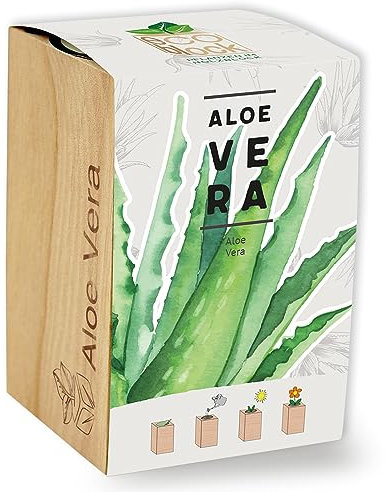 Feel Green ecoblock Aloe Vera, Nachhaltige Geschenkidee (100% Eco Friendly), Grow Your Own/Anzuchtset, Pflanzen im Holzblock, Made in Austria