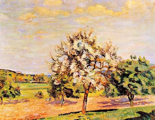 DTAUPREB Malen nach Zahlen-Sets „Apfelbäume in Blüte“ Malen nach Zahlen für Anfänger DIY-Ölgemälde-Sets Leinwandgeschenk