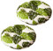 Lot de 2 coussins de chaise ronds épais rembourrés pour maison, cuisine, salle à manger, chaises de terrasse, balcon, bureau, méditation en plein air (vert)