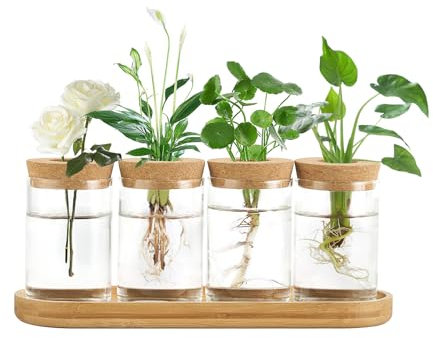 Dahey Plant Propagation Terrarium Desktop Glass Planter Station Water Planting Glass Vase with Lid and Wooden Stand for Propagating Hydroponic Plants Centerpiece Office Home Garden Decor, 4 Pcs