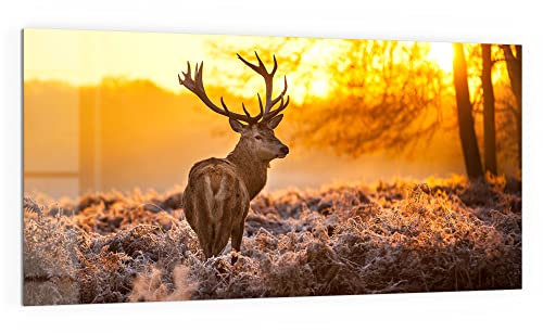 DEQORI Küchenrückwand Glas | Motiv Hirsch am Wintermorgen | 100x50 cm | Bad- oder Herd-Rückwand | Herdblende Spritzschutz für Küche & Badezimmer | Moderne Deko für Fliesenspiegel
