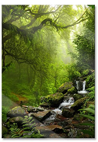 Pixxprint Glasbild, Wandbild aus Echtglas, Kleinder Wasserfall im Dschungel, 70x100 cm, inkl. Aufhängung und Abstandshalter