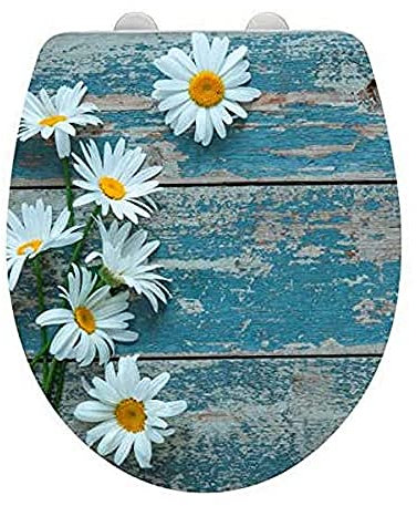 WENKO WC-Sitz Hochglanz Acryl Asteride, High Gloss Oberfläche, hygienischer Toilettendeckel mit Absenkautomatik, aus antibakteriellem Duroplast, 39 x 45 cm
