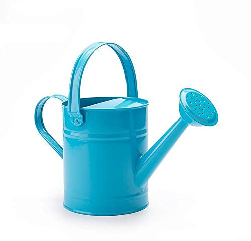 Regadera de metal de hierro de 1,5 L, mini regadera de metal multicolor, regadera de agua con asa para jardín, hogar, plantas, flores, Blue, 1,5 L