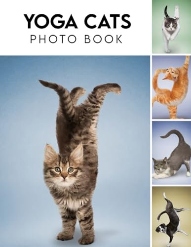 YOGA CATS Photo Album Book: An 2024 Animals Photography Book With Impressive Pictures For All Ages To Relieve Stress And Get Creative Fantastic Picture Book Birthday, Christmas Gifts Idea For All Ages