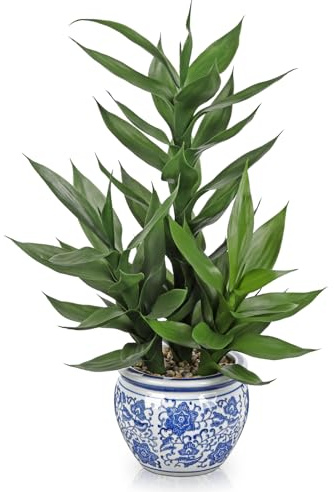 Artificial Potted Plants Indoor Home Decor 20 Tall Fake Lucky Bamboo Plant in Blue and White Ceramic Pot Faux Potted Plants Indoor Houseplant for Home Tabletop, Office Desk, Shelf, Zen Room