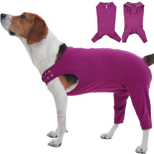 Katzinst Hundebody Nach Op, Hundebody Nach Op mit Reißverschluss Hinten für Hund Kastration Rüde Hündin，Anti-Wundlecken Hundeschenkel Schutz Bodysuit, Wundschutz, Op Body Hund,Lila,XL