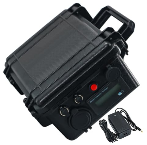 WSDAV Pacco Batteria al Litio da 12 V Ricaricabile con Caricabatterie | Batteria al litio da 12V 20AH 30AH 60AH 80AH 100AH, con display a LED, doppia porta USB e interruttore di alimentazione.