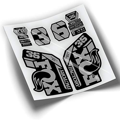 Fox 36 Factory 2021 Farben WP425 Silber