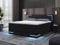 wonello Boxspringbett 180x200 mit Bettkasten und LED-Beleuchtung - gemütliches Bett mit LED Beleuchtung - Stauraumbett 180 x 200 cm mit Matratze und Topper - schwarz Samt-Stoff