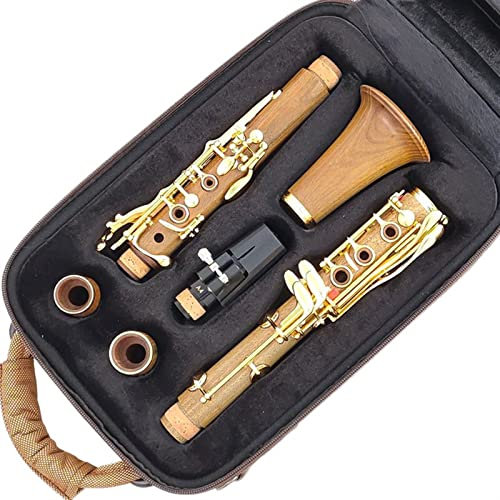 Klarinetten Holz Professionelle Klarinette BB Vergoldete Tasten SIB Klarnet Standard Klarinette