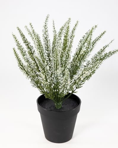 Seidenblumen Roß Erika/Heidekraut künstlich 32x28cm im Topf DP Kunstpflanzen Kunstblumen künstliche Blumen Pflanzen Erikabusch 100% PE Kunststoff (Weiß)