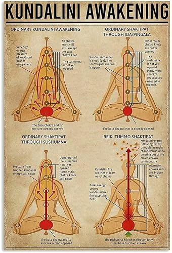FJQWKLF Metall-Blechschild „Kundalini Awakening, Yoga-Wissensposter, für Klassenzimmer, Zuhause, Wohnzimmer, Club, Café, Wanddekoration, Plaketten, 20,3 x 30,5 cm