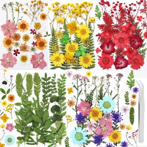 Getrocknete Gepresste Blumen, Gepresste Blüten, Mehrfarbige Trocken Blume für DIY Harz Schmuck Nagel Handwerk Sammelalbum Dekorationen (146 getrocknete Blüten)