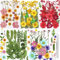 Getrocknete Gepresste Blumen, Gepresste Blüten, Mehrfarbige Trocken Blume für DIY Harz Schmuck Nagel Handwerk Sammelalbum Dekorationen (146 getrocknete Blüten)
