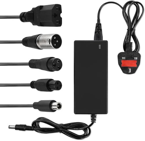 29.4V 2A Electric Scooter Charger, Charger for Electric Bike,Fast Charging Power Adapter for Scooter, Balance Bike,24V Lithium Battery Charger with Led Indicator