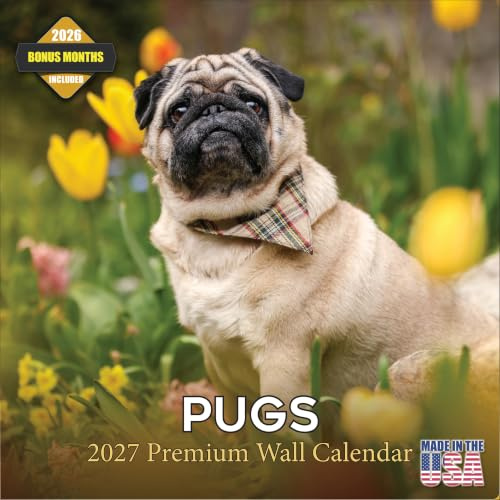 2025 2026 Mops-Kalender – Monatlicher Wandkalender für Hunderassen – 30,5 x 61 cm geöffnet – dickes Papier ohne Auslaufen – Geschenk – akademischer Lehrerplaner Kalender Organisieren und Planen