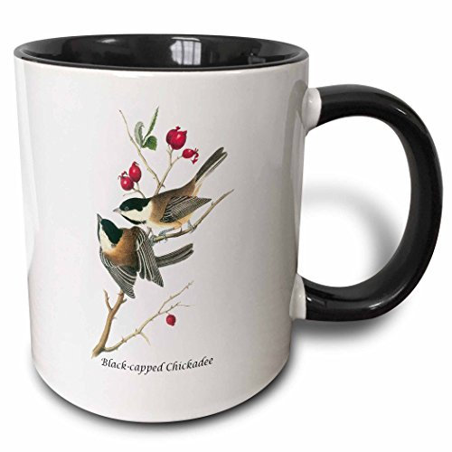 Tasse À Céramique Porcelaine Tasse En Porcelaine Épais Tasse Amusante Cadeaux Amusants Pour Homme Stagiaire 330 Ml Mésange À Tête Noire De John James Audubon