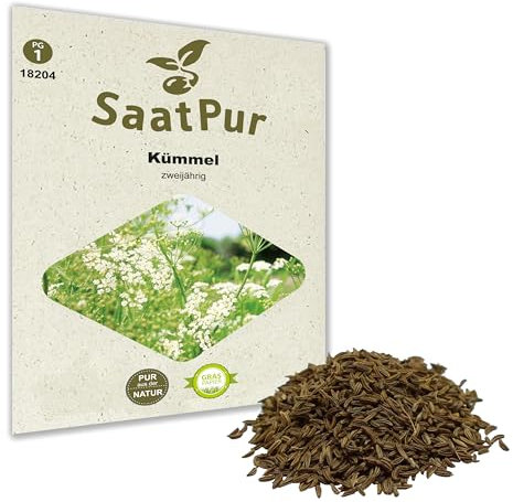 SaatPur Kümmel Samen, Saatgut für ca. 100 Pflanzen