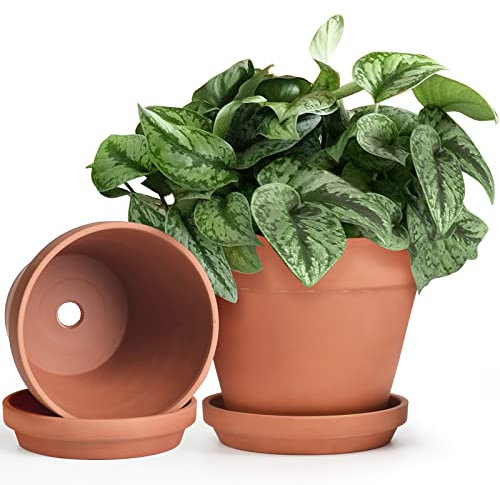 INGOFIN Lot de 2 Pots de Fleurs en Terre Cuite avec Soucoupe en céramique avec Trou de Drainage, Pots de Fleurs succulentes avec Plateau pour Plantes d'intérieur et d'extérieur, 20,3 cm