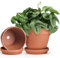 INGOFIN Lot de 2 Pots de Fleurs en Terre Cuite avec Soucoupe en céramique avec Trou de Drainage, Pots de Fleurs succulentes avec Plateau pour Plantes d'intérieur et d'extérieur, 20,3 cm