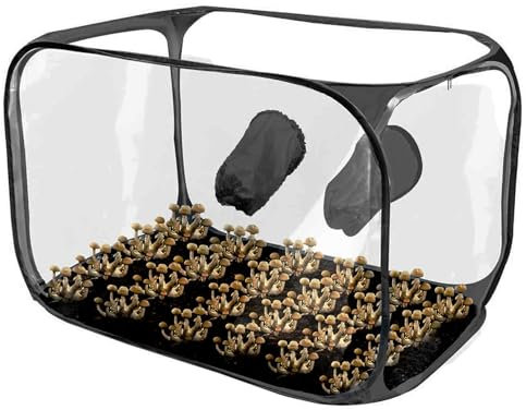 Generisch Pilz-Zuchtbox, Pilz-Still-Luftbox,Pilzpflanzzelt-Vermehrungsstationen - Gartenbaubedarf, Pop-up-Pilzzuchtbeutel für Anbau- und Wachstumsexperimente
