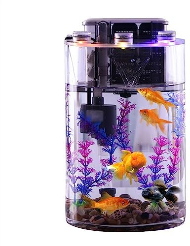 Acquario per principianti Xumh2024-3 in vetro trasparente per pesci con pompa filtro e luci a LED