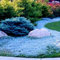 500 pièces Thym Serpolet Couvre Sol, Graines de Thym Rampant, de graines de Fleurs faciles à Planter Multicolores graines de thym rampantes Outil de Jardinage (Bleu Clair)
