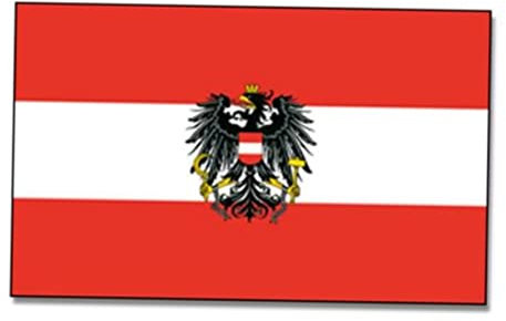 BESPORTBLE Große Flagge 90 X 150 Cm Lebendige Bannerösen Ideal für Sportveranstaltungen