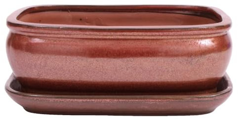 Bonsai-Shopping Bonsai - Schale eckig 26.5 x 21.5 x 10 cm mit Untersetzer kupferfarben 31125