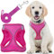Pettorina per cani con guinzaglio - Piccola, rosa - Pettorina per animali domestici con design morbido e anti-tiro con strisce riflettenti per cani di piccola taglia - di EcoEarth
