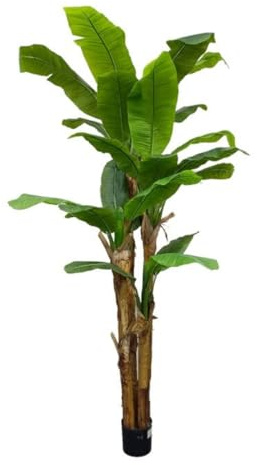 Gerimport Planta Platanero LVs R/T 280cm