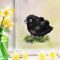 Wandtattoo Loft Fensterbilder Frühling Rabe Motiv – A4 Bogen, Wiederverwendbar – Frühlingsdeko Fenster Kinderzimmer, Frühlingsbild Fenster, Fensterdeko Frühling, Fensterfolie Frühling Selbstklebend